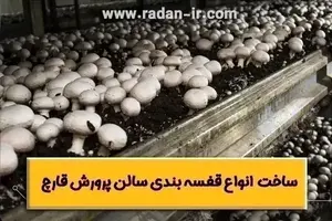 قفسه بندی سالن پرورش قارچ🍄【طراحی، ساخت، نصب】